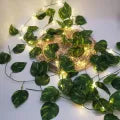 Artificial Plant Leaves with Fairy Lights – Battery Operated Money Plant Room Decoration